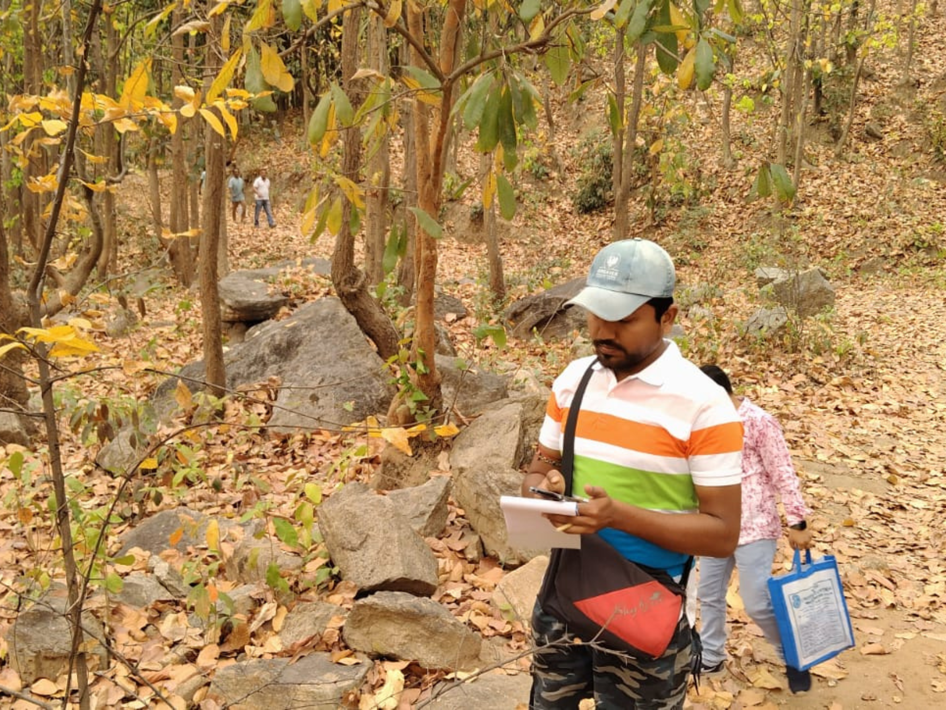Forest Survey
