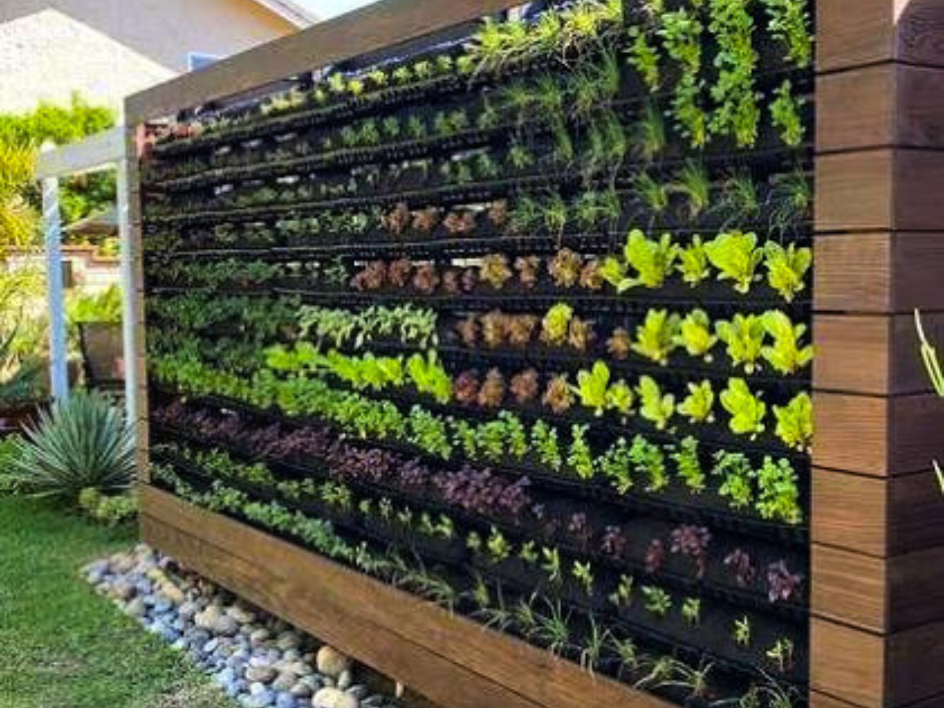 Vertical Garden